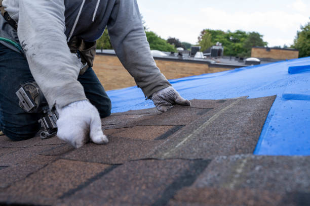 Best Roof Leak Repair  in Glenwood City, WI