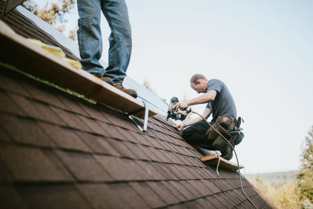 Roof Gutter Cleaning in Glenwood City, WI