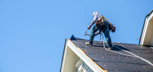Best Shingle Roofing Installation  in Glenwood City, WI